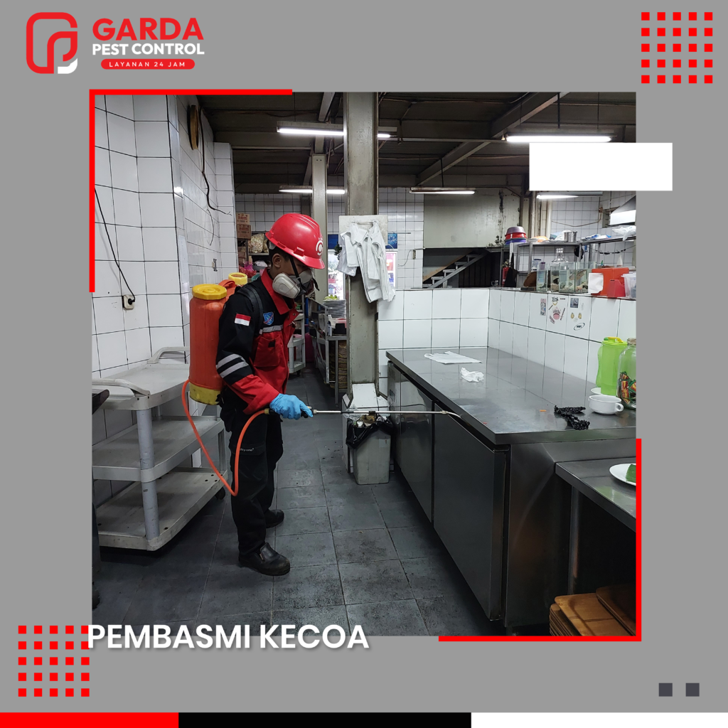 Jasa Pembasmi Kecoa