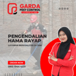 Jasa Anti Rayap Bandung Terbaik & Bergaransi 3-5 Tahun Jasa Anti Rayap di Bandung