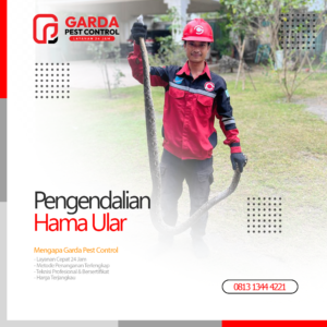 Jasa Pawang Ular Terdekat Pembasmi Ular Profesional