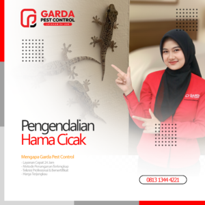 Jasa Pembasmi Cicak Terdekat di Bandung Harga Murah