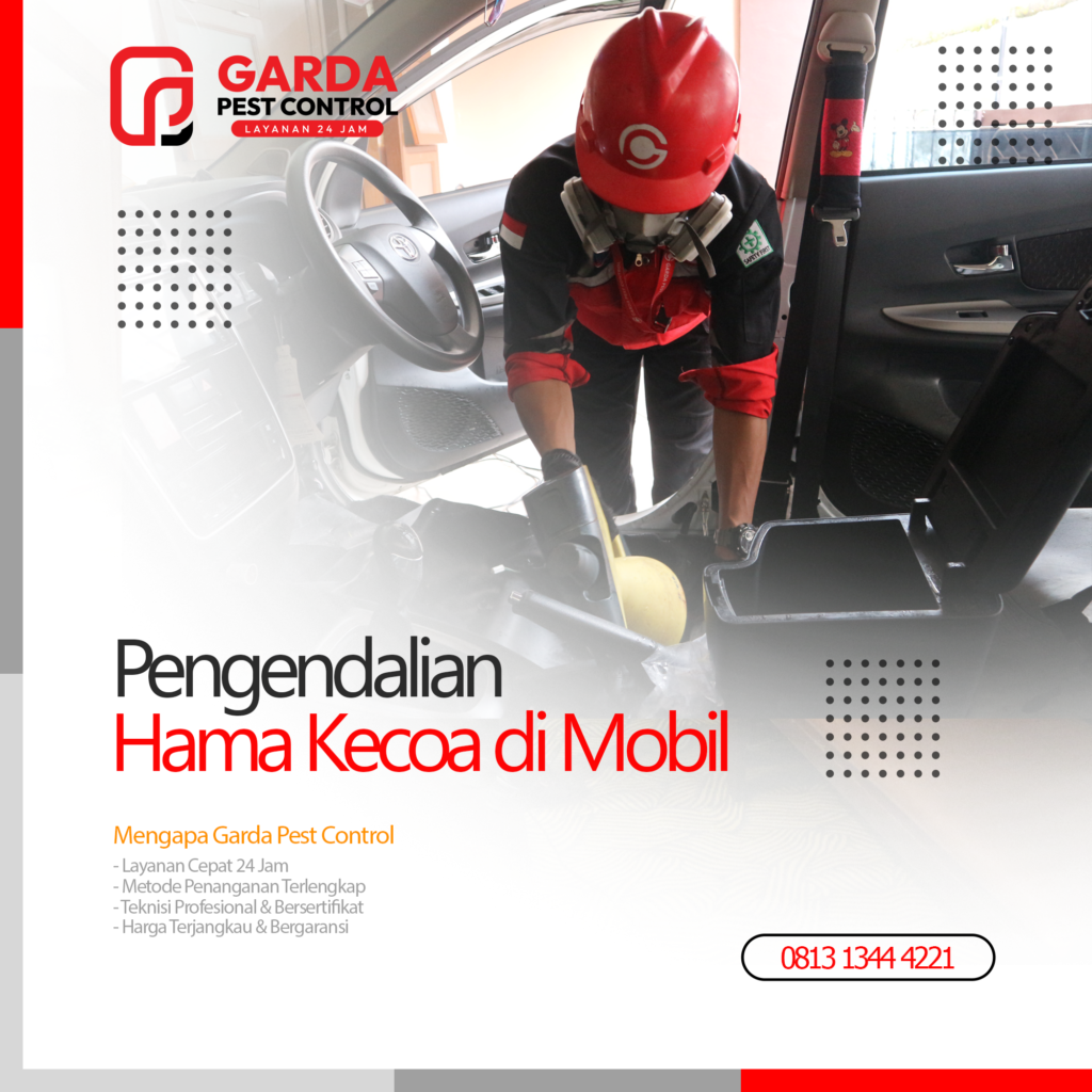 Jasa Pembasmi Kecoa di Mobil Bergaransi 3 Bulan