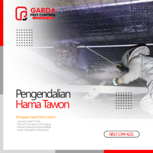 Jasa Pembasmi Sarang Tawon Terdekat di Bandung