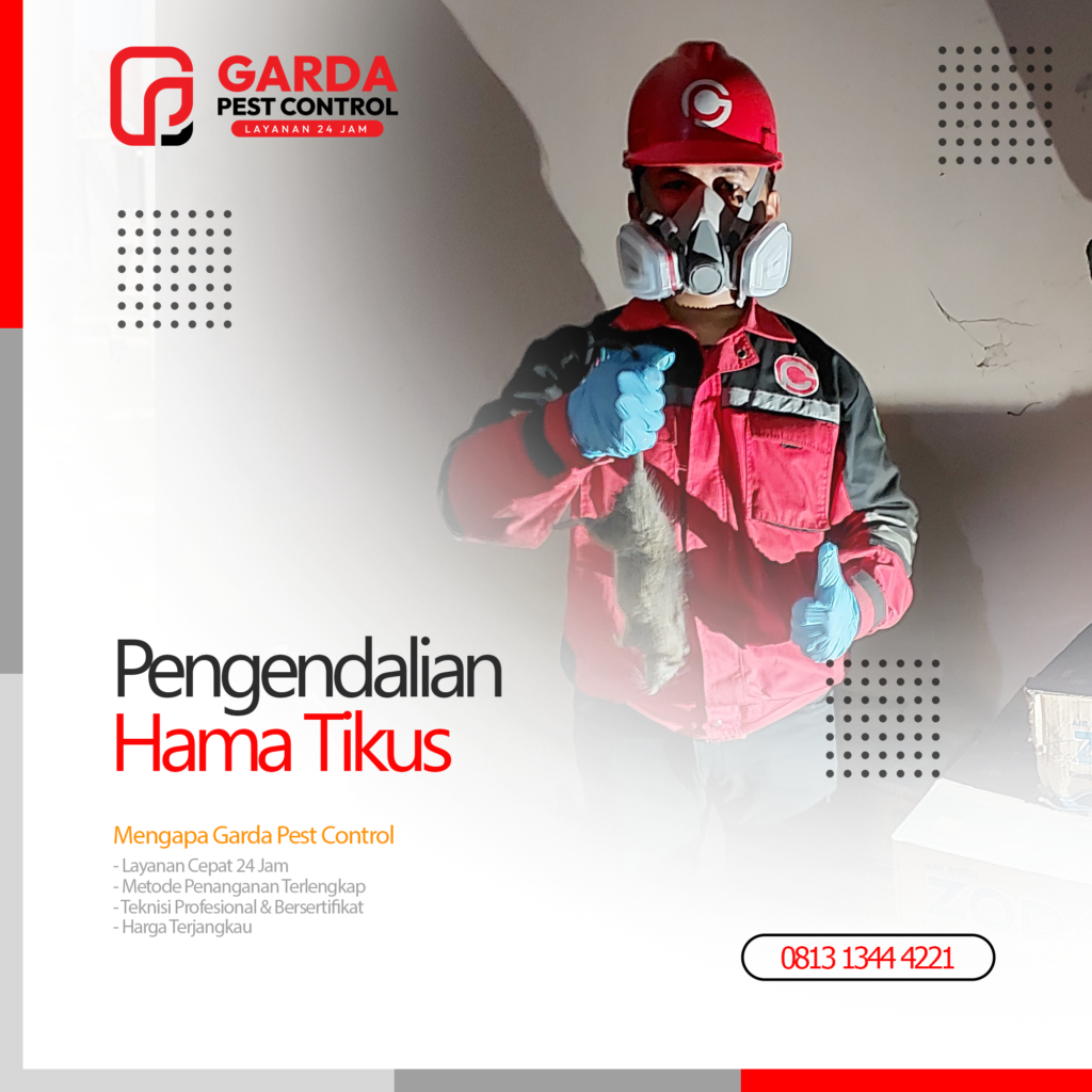 Jasa Pembasmi Tikus Bandung untuk Ruko dan Perkantoran