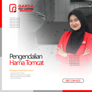 Jasa Pembasmi Tomcat Terdekat di Bandung Garda Pest Control