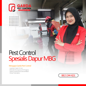 Pest Control Spesialis Dapur MBG SPPG di Bandung