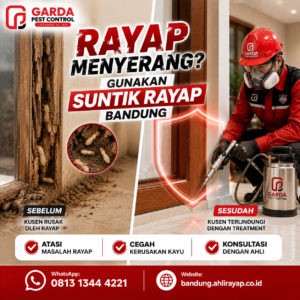 Harga Jasa Anti Rayap Pasca Konstruksi Per Meter di Bandung