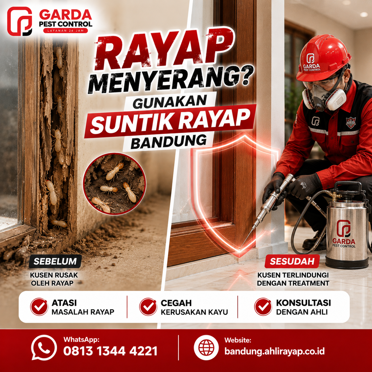 Biaya Jasa Suntik Rayap Per Meter di Bandung Beserta Hitungannya