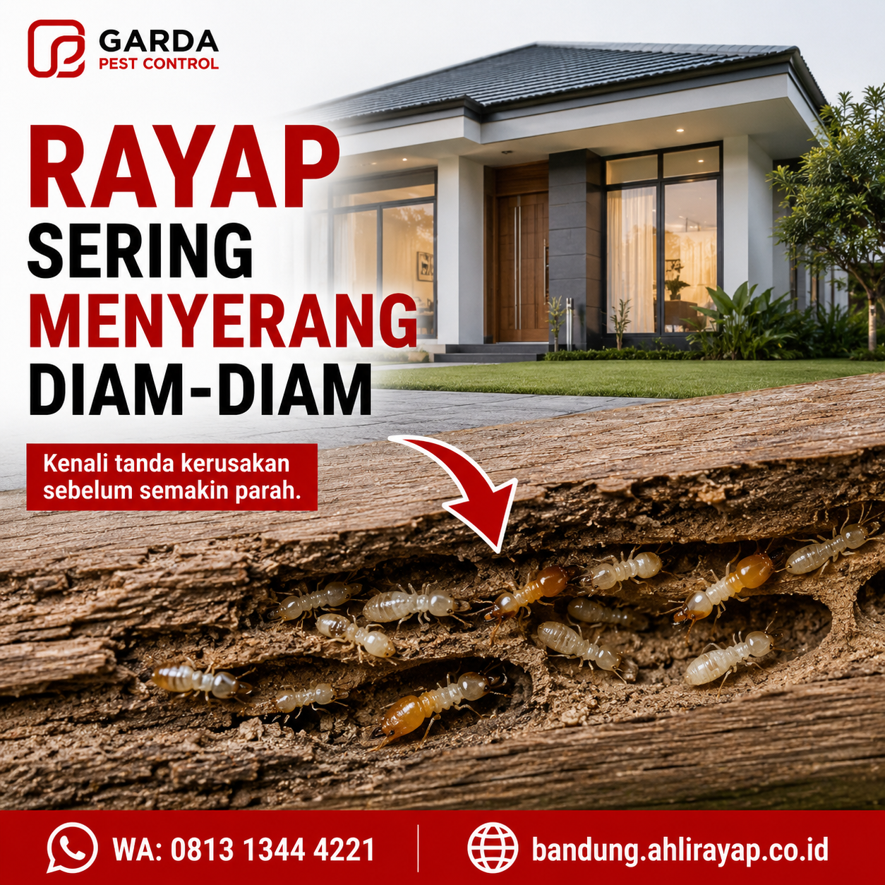 Jasa Suntik Rayap Bandung Resmi dan Berpengalaman