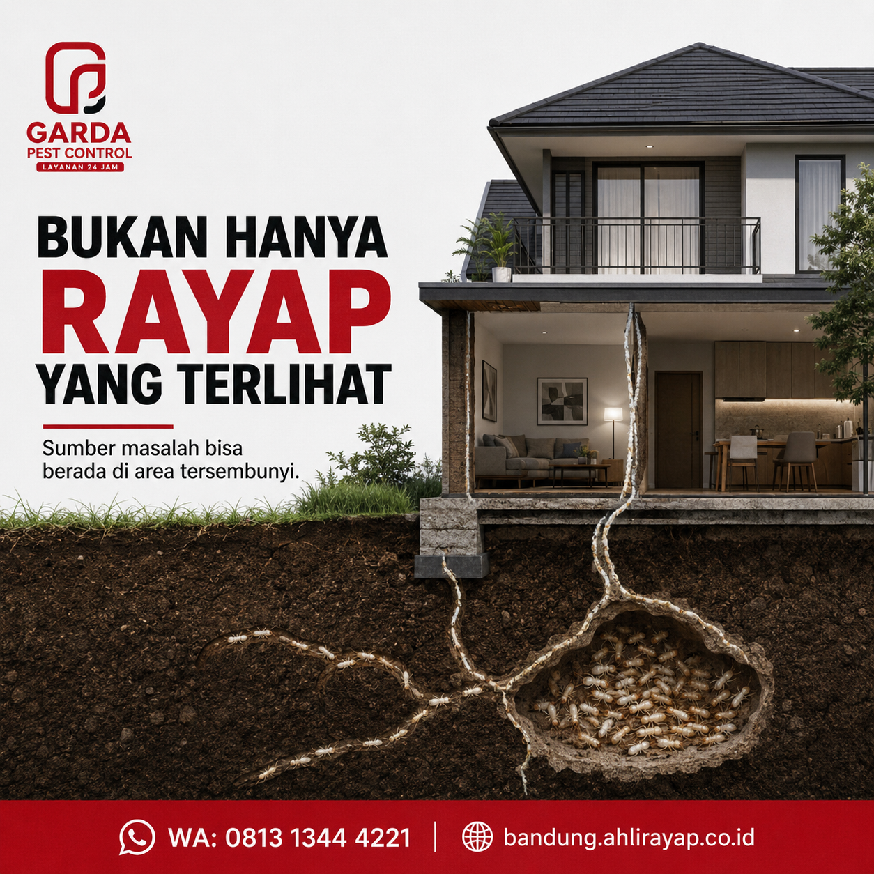 Biaya Suntik Rayap Rumah di Bandung dan Rincian Pengerjaannya